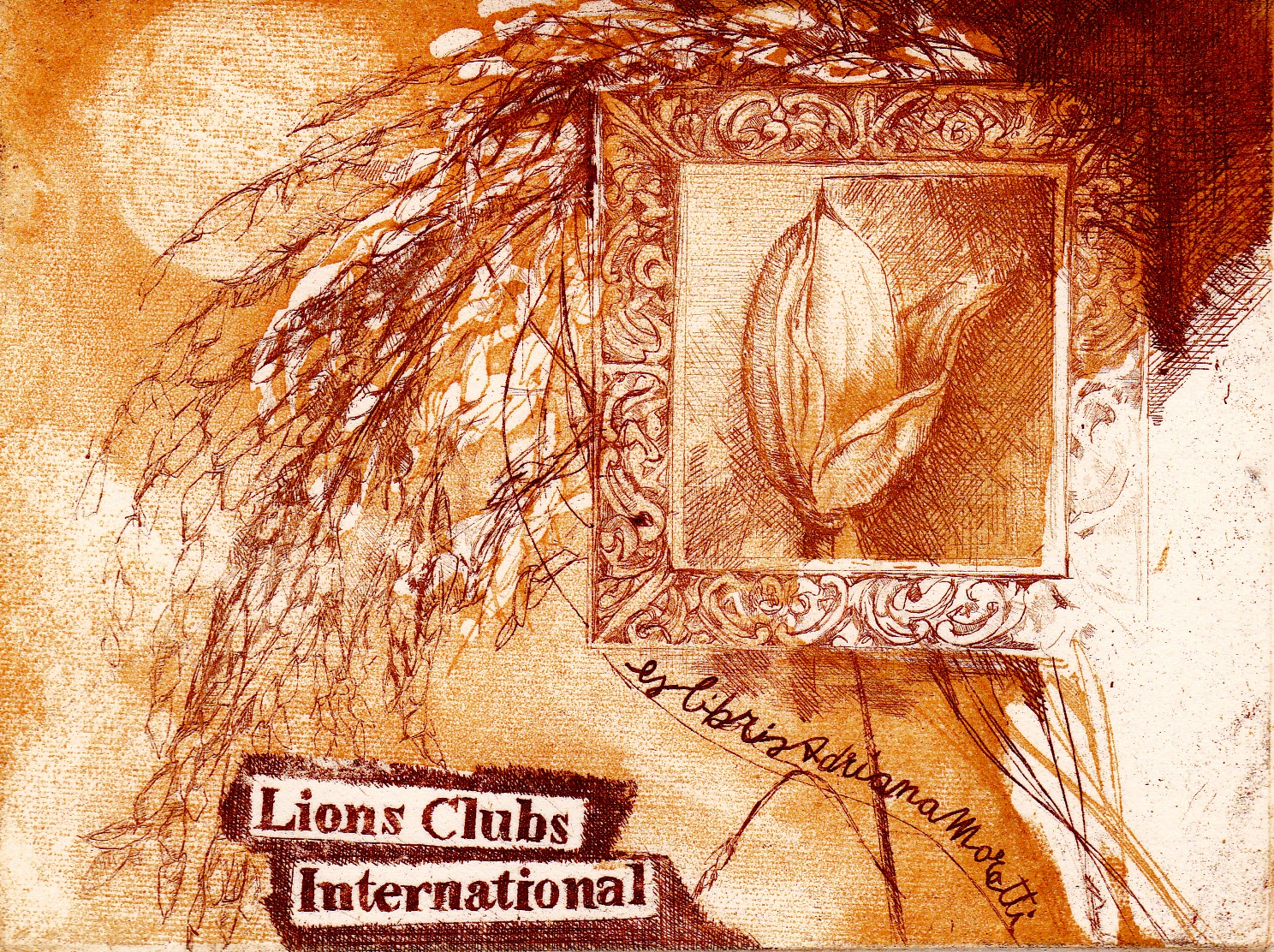 exlibris_lionLions Club International